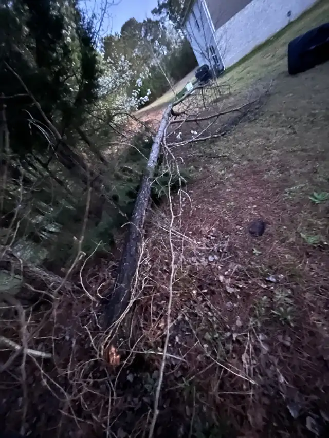 Downed tree on a slope beside a house (real photo; not necessarily taken in Dacula)