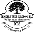 Driggers Tree Surgeons, LLC logo